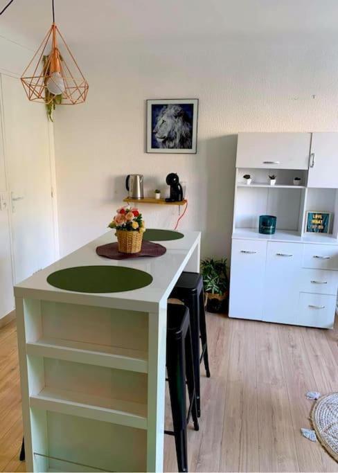 Studio Proche Centre Wifi Parking Διαμέρισμα Μονπελιέ Εξωτερικό φωτογραφία